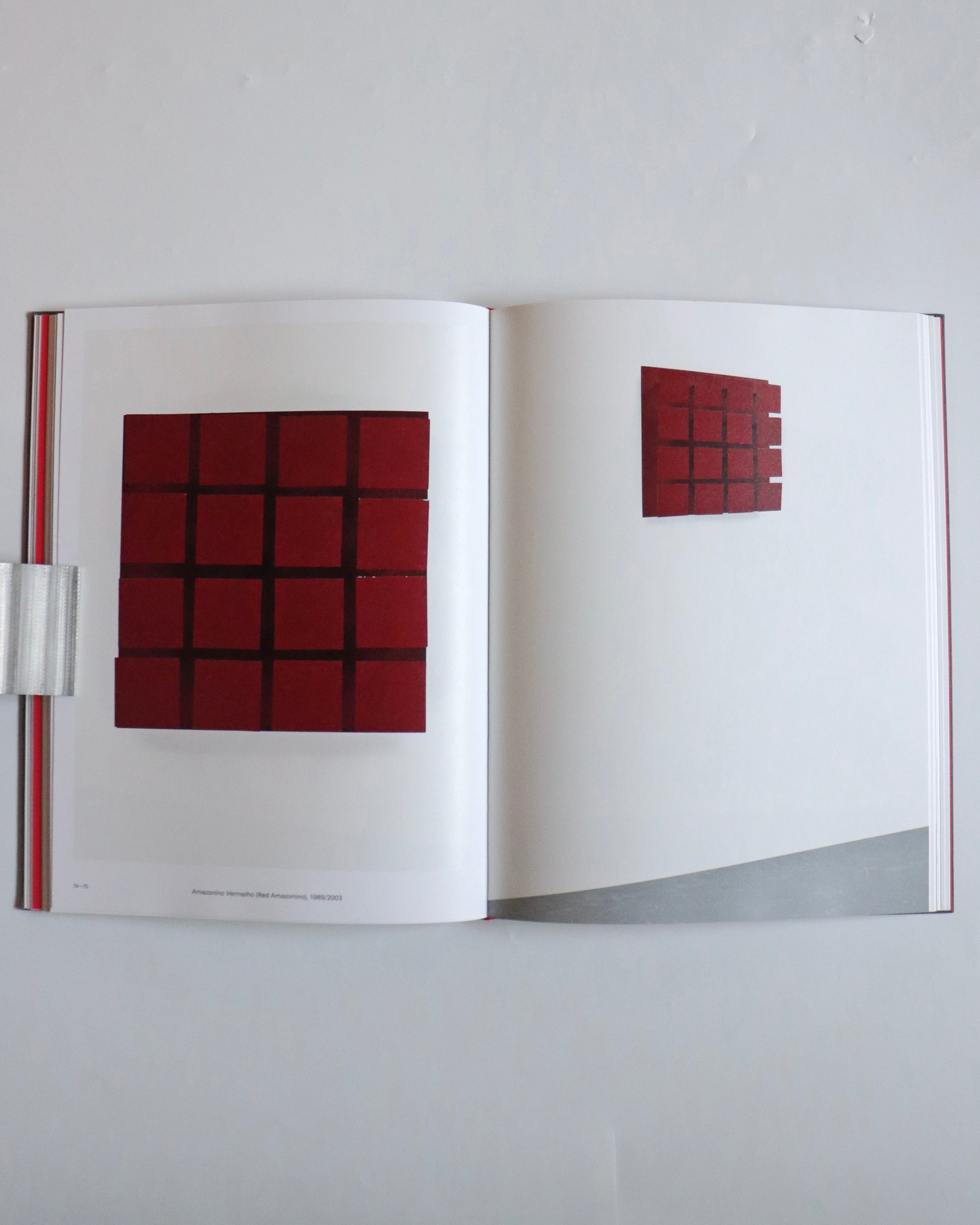 LYGIA PAPE by Lygia Pape